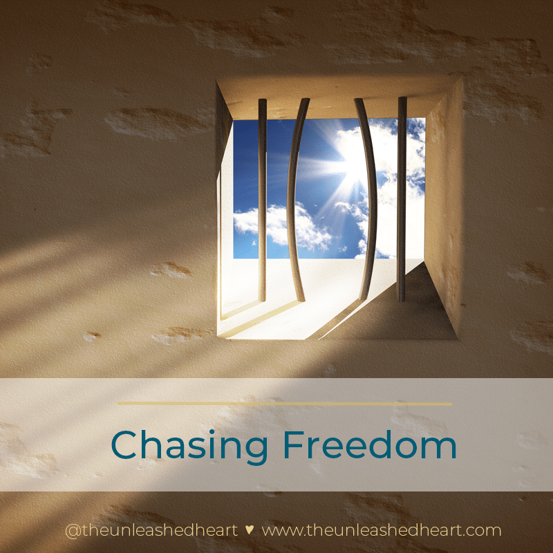 chasing freedom